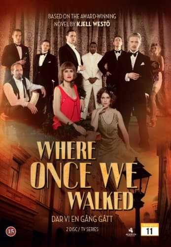 Der Vi En Gang Gikk - TV-Serien (2 disc)