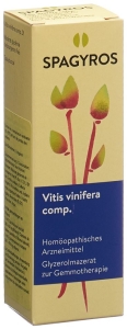 SPAGYROS GEMMO COMP Vitis vinififera Glycerinmazerat D1, 30 ml