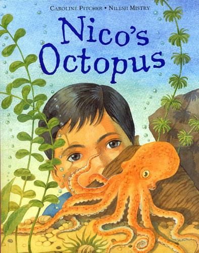 Nico's Octopus (Paperback)