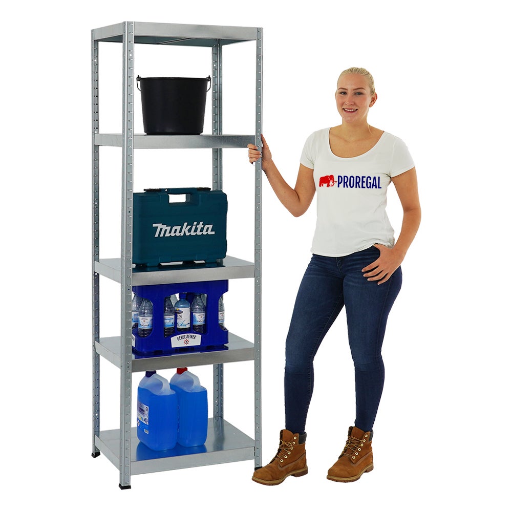 PROREGAL Heavy-Duty Stellingkast Steel Eagle HxBxD 180 x 60 x 40 cm Plankdraagvermogen 130 kg Gegalvaniseerd