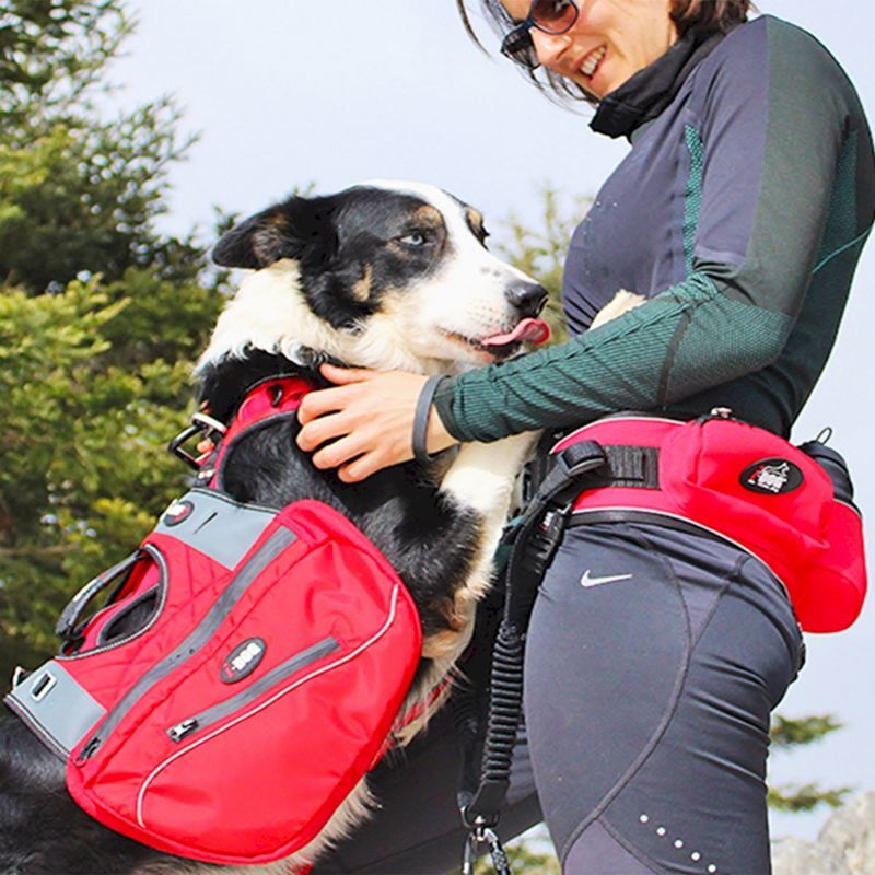 Confort Trek - Sac à dos pour chien randonnée