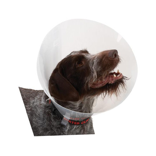 Buster Transparent Classic Collar
