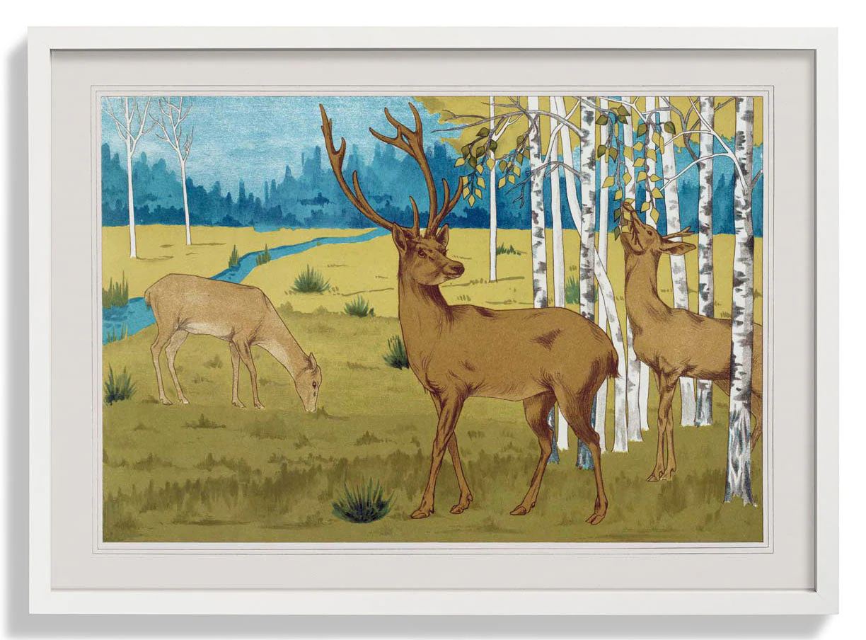 Rehe im Wald