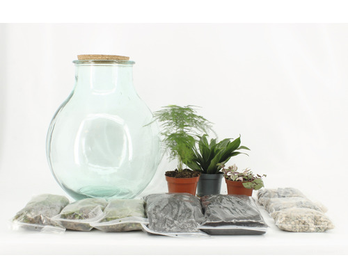 Flessentuin XL DIY Set Complete Set H 38 cm Ø 29 cm