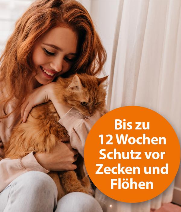 ARDAP® Zecken- und Flohschutz Spot-On für