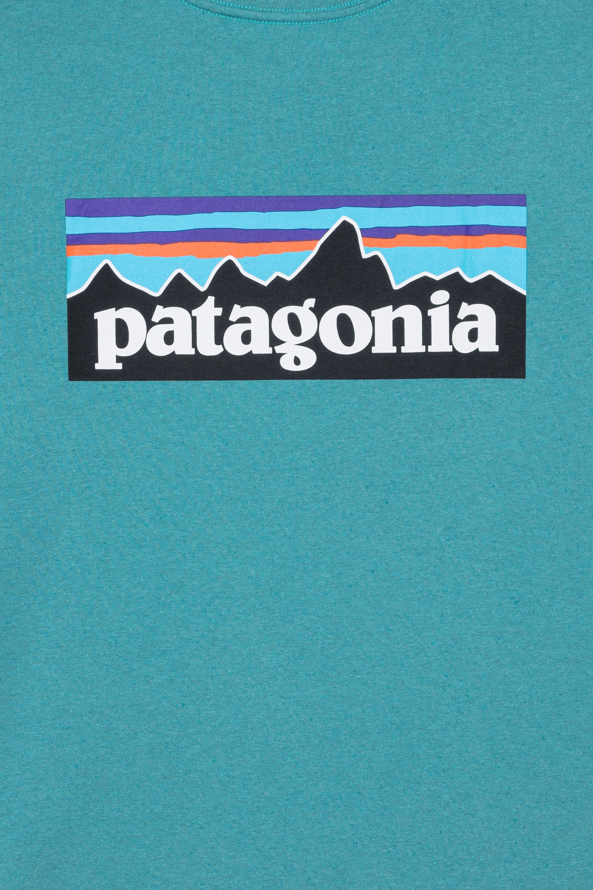 PATAGONIA T-shirt  Bleu
