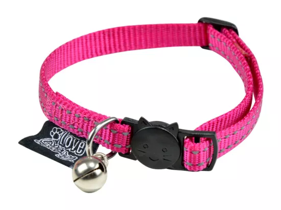 Collier pour Chien 
