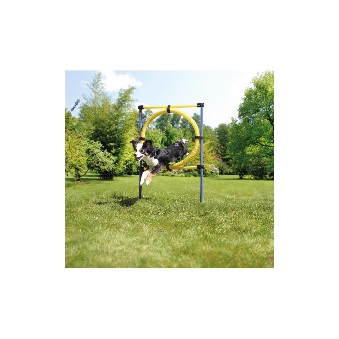 AniOne Agility Hürde