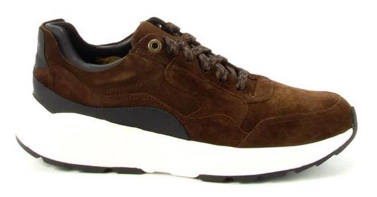 Xsensible 33200 Golden Gate 4.301 Brown