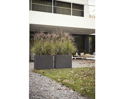 elho Pure Soft Brick Divider plantenbak, kunststof, 79x30x59 cm, antraciet, inclusief wielen