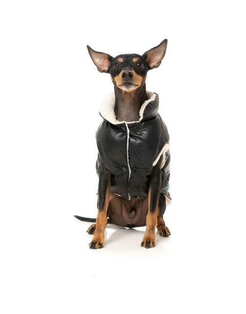 Fuzzyard Milano Jacket Zwart - Hondenkleding
