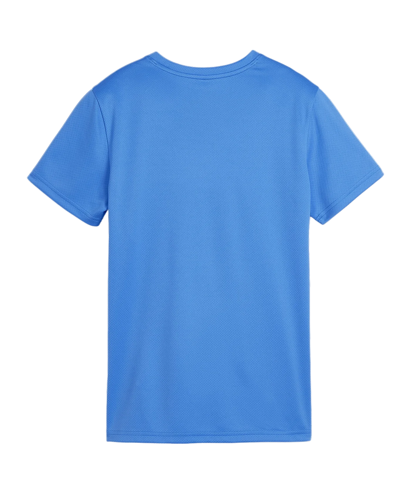 PUMA teamGOAL Trikot Damen Blau F02