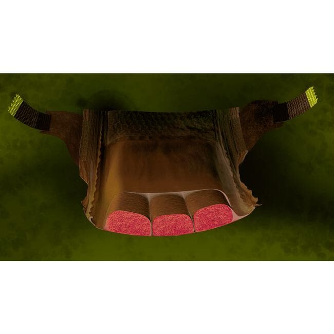 Etos Woezel & Pip Luiers Newborn Maat 1 2-5 kg 52 stuks