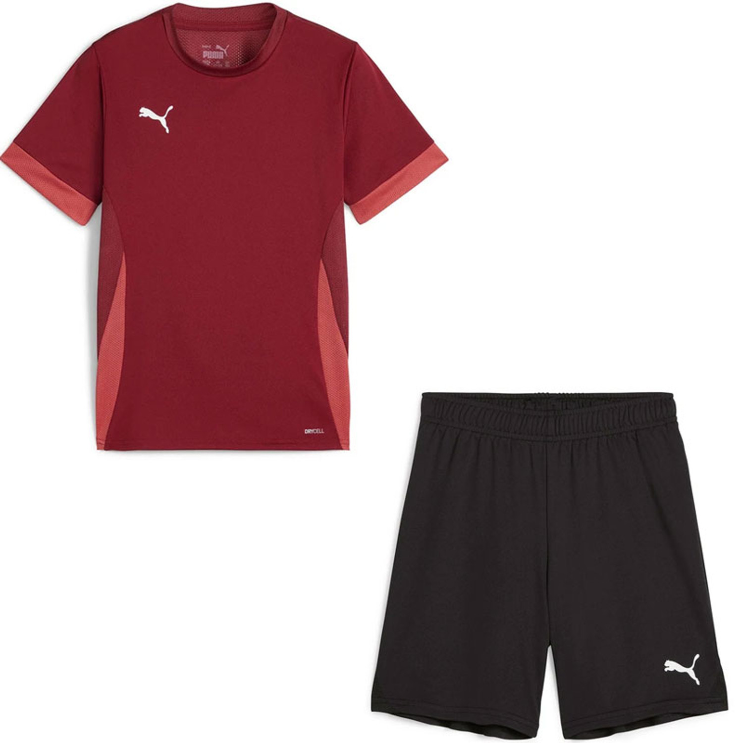 Puma GOAL Trainingsset