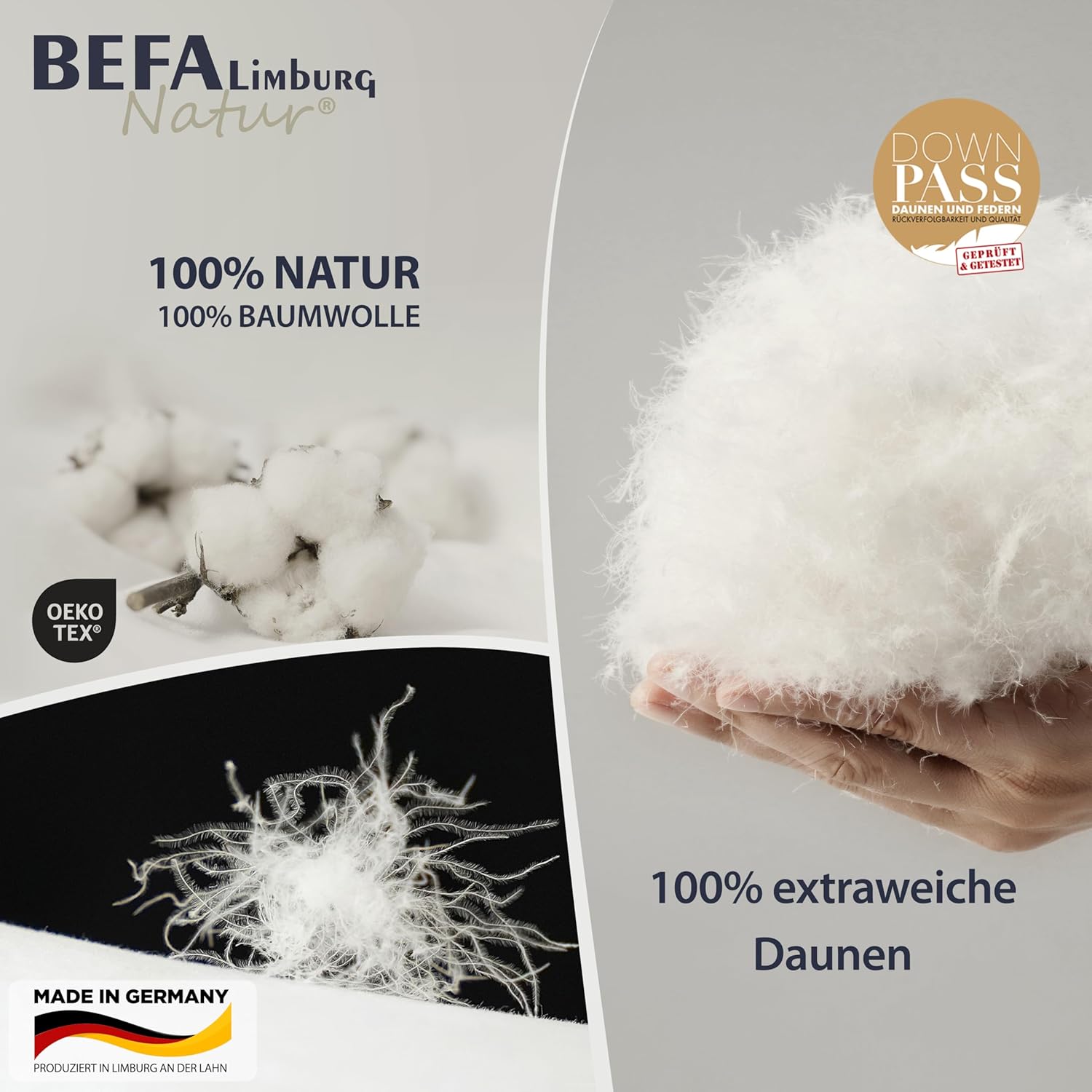BEFA NATUR Reine Daunendecke Winter 135x200 cm | 100% Daunen | 810g Füllgewicht | Allergiker geeignet (NOMITE) | Tierwohl Zertifiziert (DOWNPASS) | Oeko-TEX Klasse 1 | Made in Germany