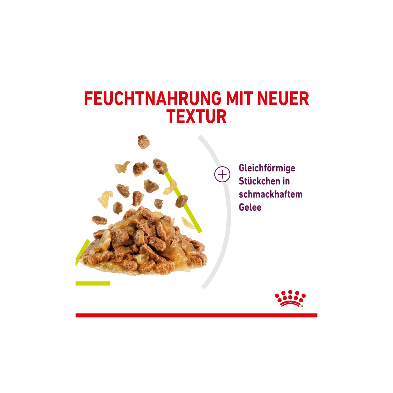 ROYAL CANIN SENSORY Smell in Gelee für wählerische Katzen 12x85g