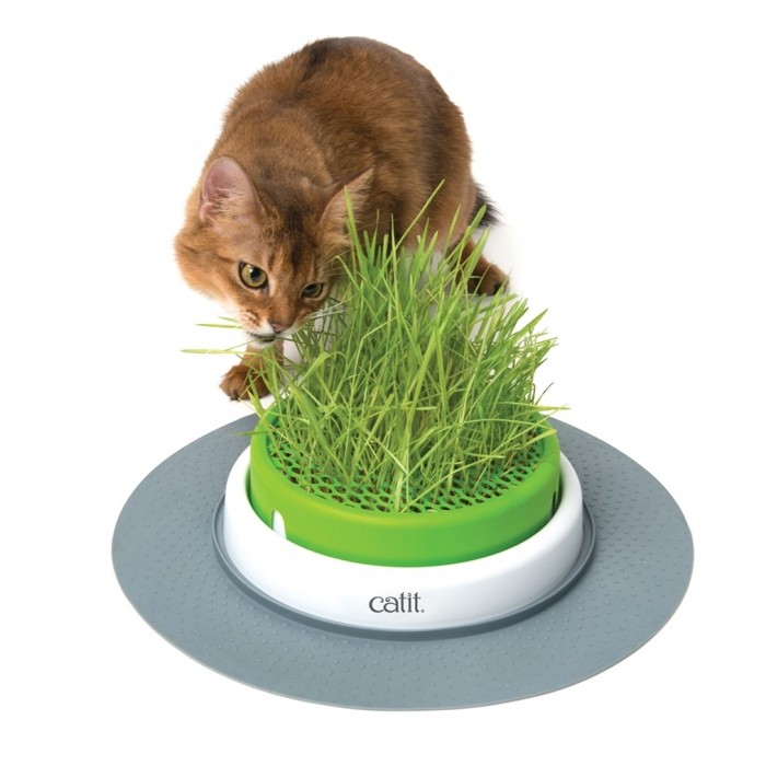 Jardin d'herbe Senses Design