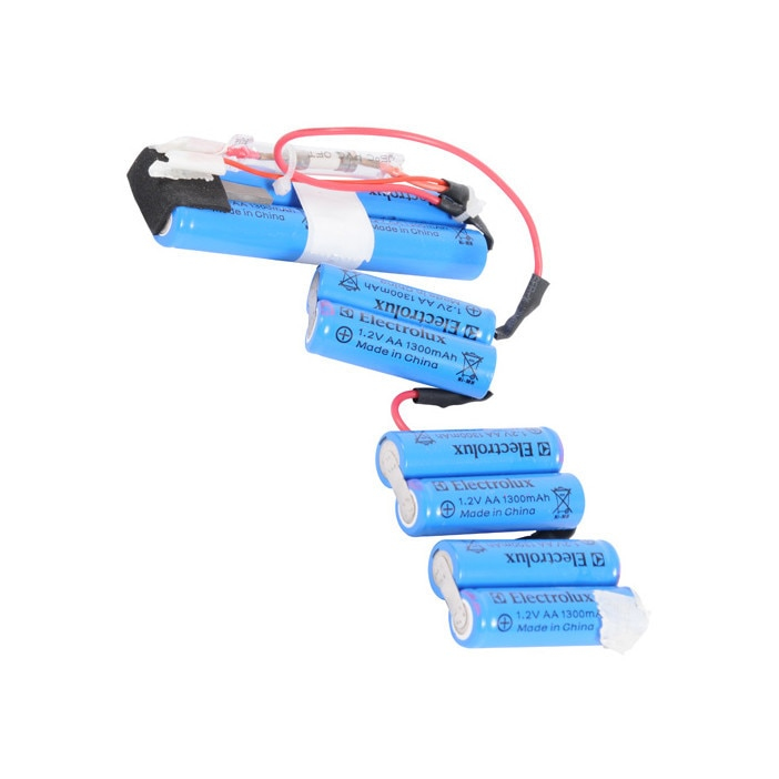AEG 4055132304 Batterij