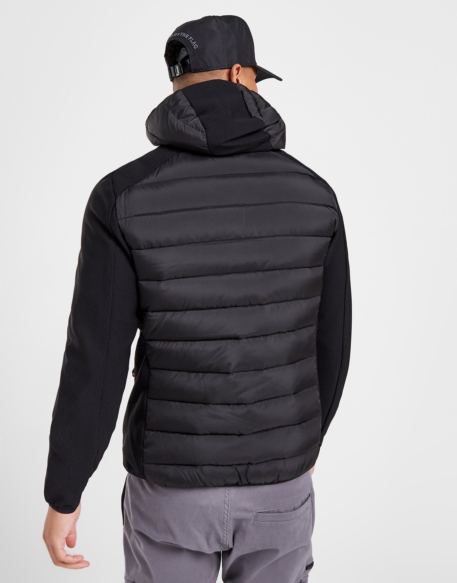 Zavetti Canada Veste Serzio Homme