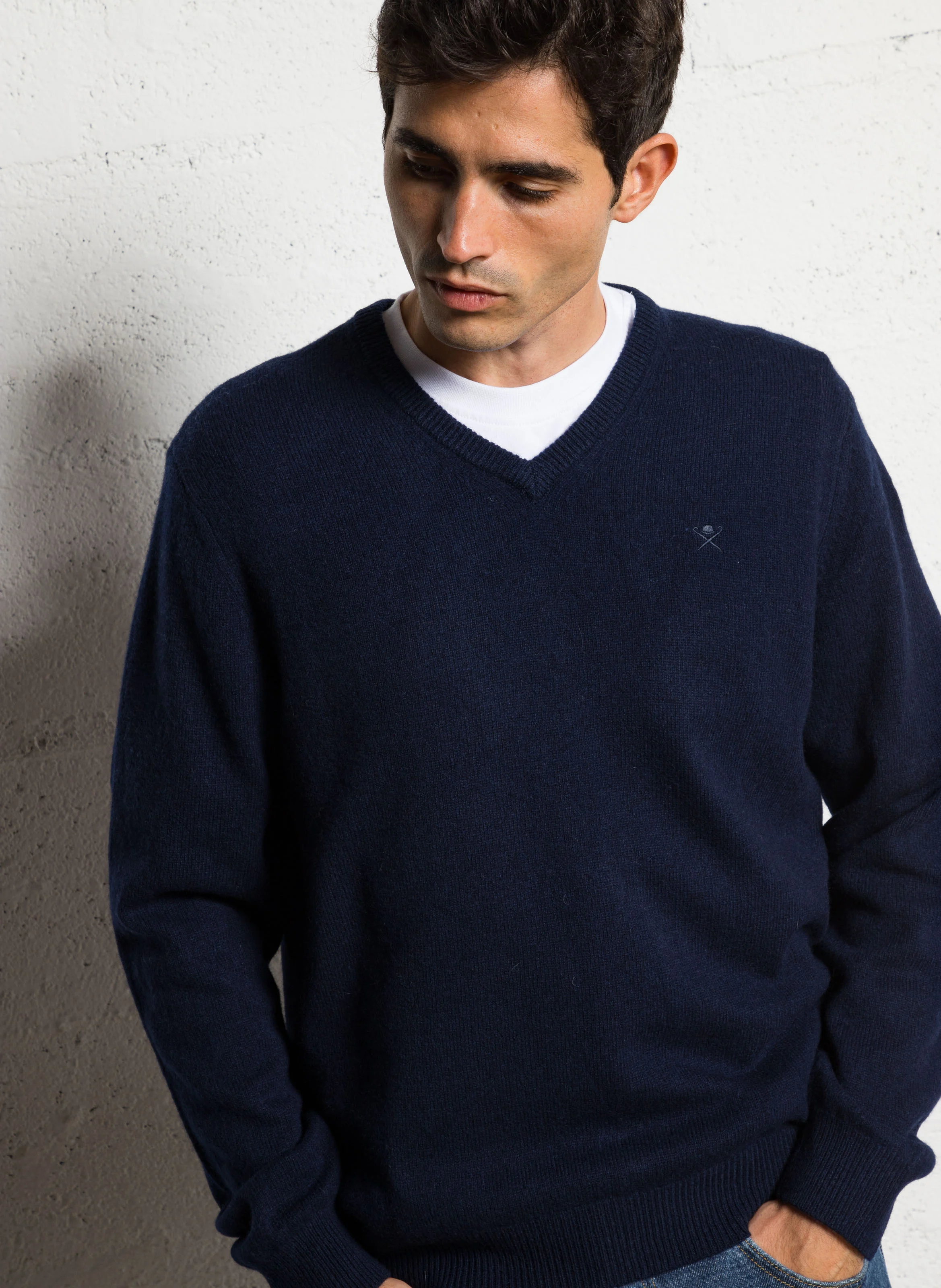 Pull regular-fit col V brodé en laine | Bleu