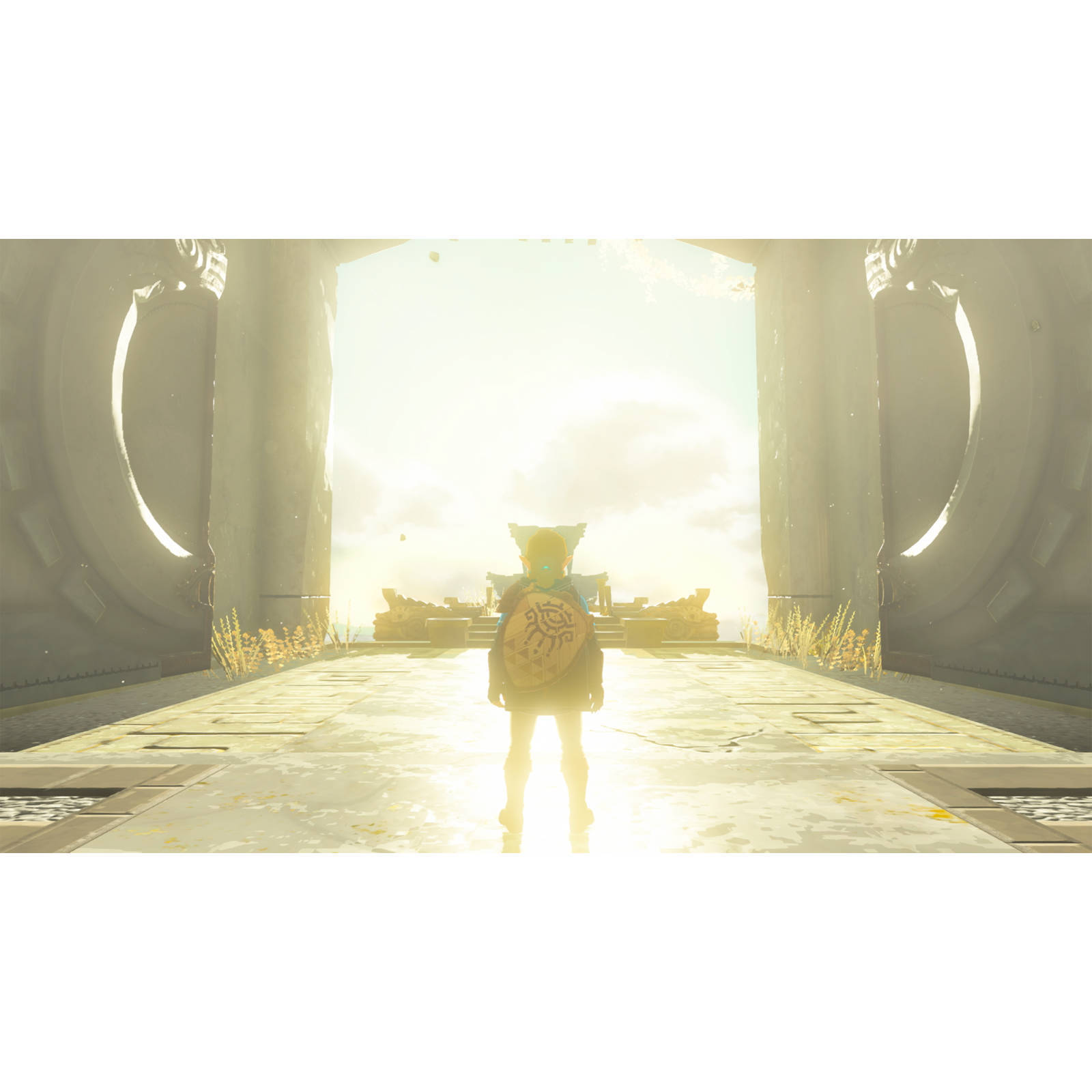 Nintendo The Legend of Zelda - Tears of the Kingdom (Nintendo Switch)