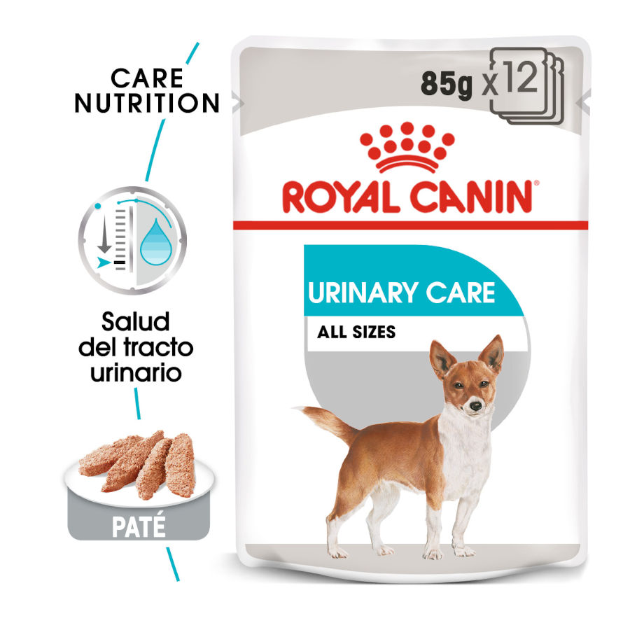 Sachê de patê Royal Canin Urinary Care para cães