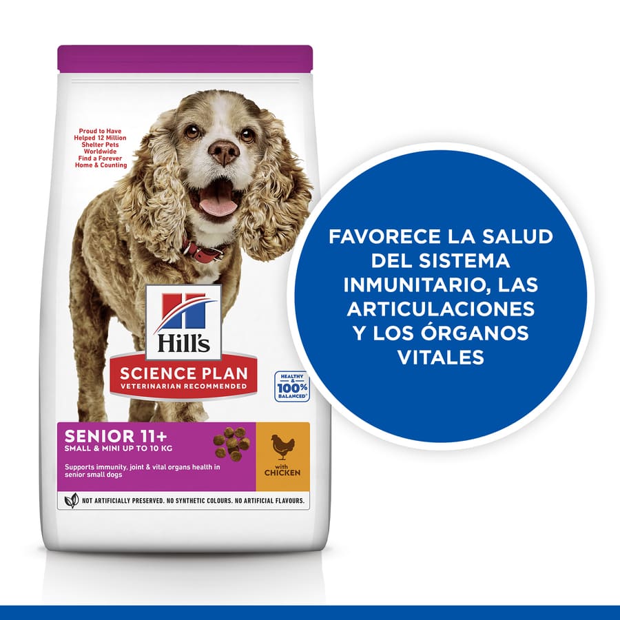 Ração para cães Hill's Science Plan Senior 11+ de pequeno e pequeno porte com sabor de frango
