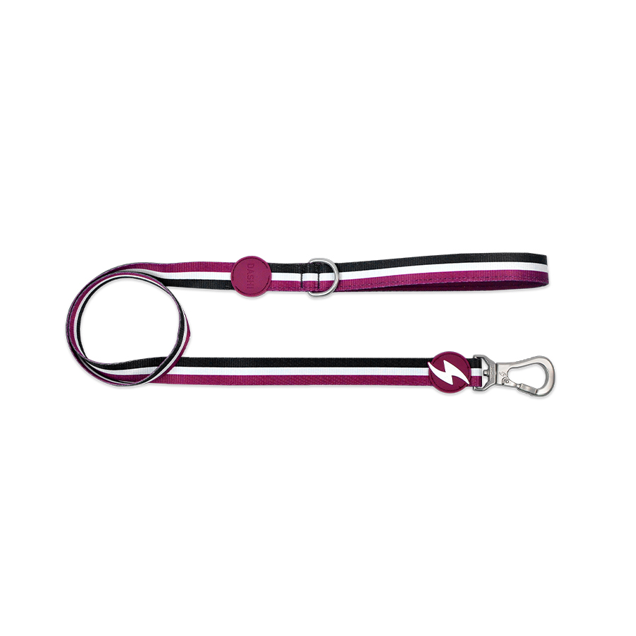 Guia para cães Dashi Stripes em poliéster roxo e preto