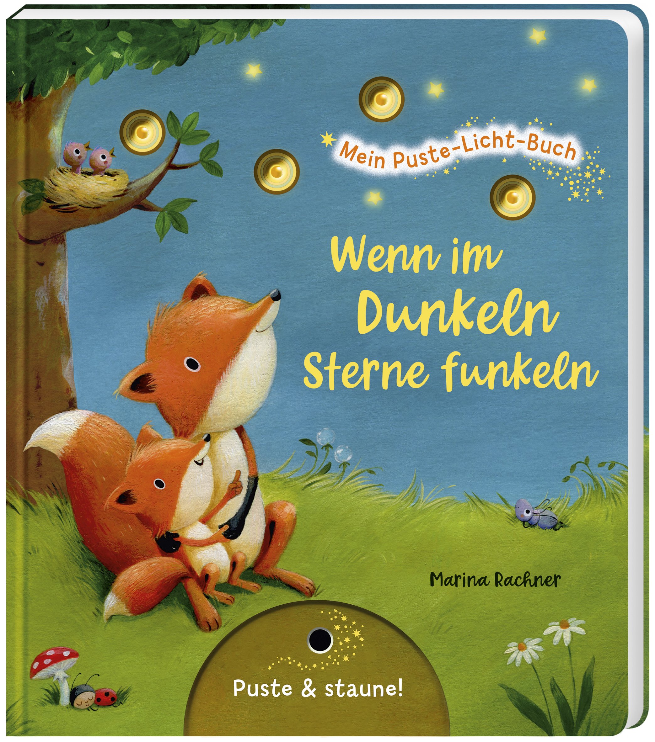 Mein Puste-Licht-Buch: Wenn im Dunkeln Sterne funkeln