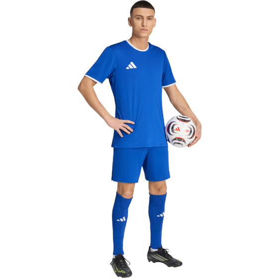 adidas Entrada 26 Trainingsset