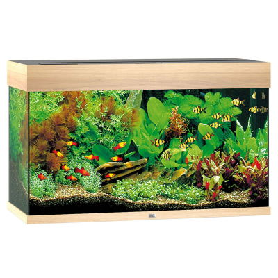Juwel Aquarium Rio 125, 81x36x50cm, hell