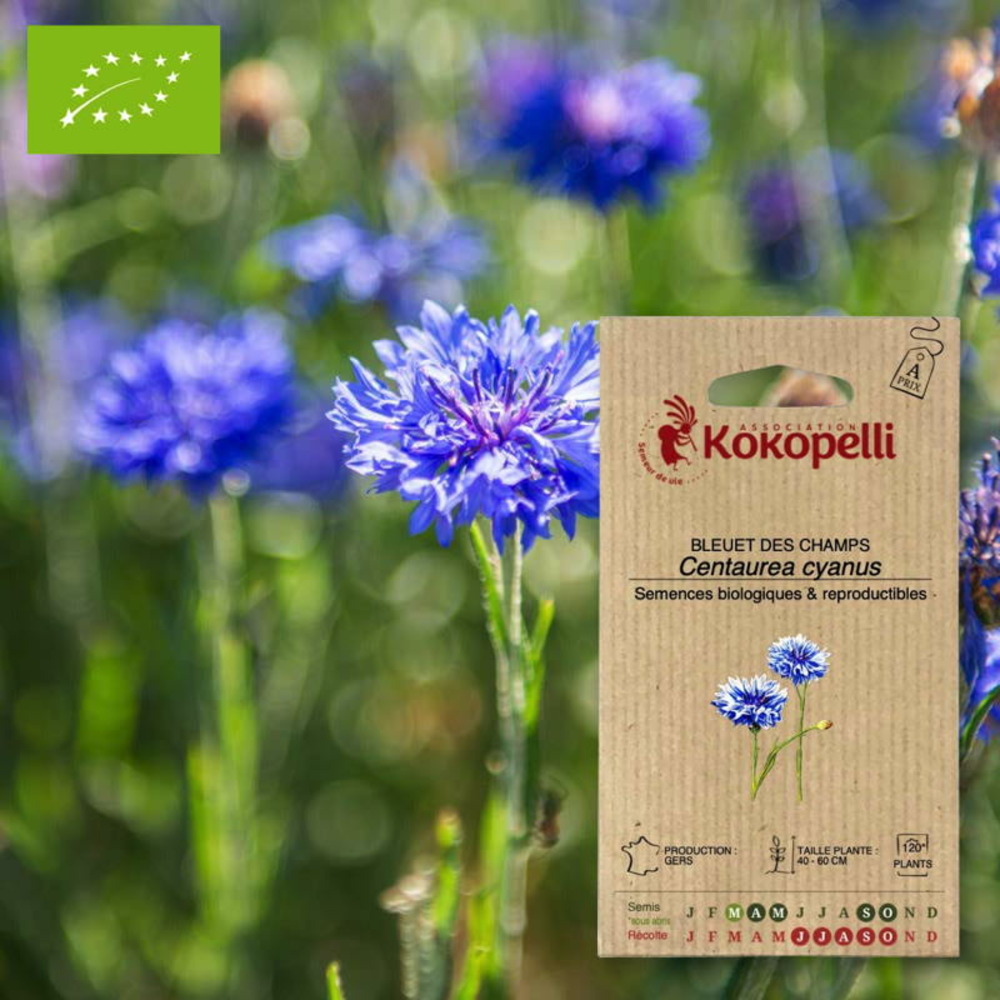 Sachet de graines bio à semerbleuet des champs