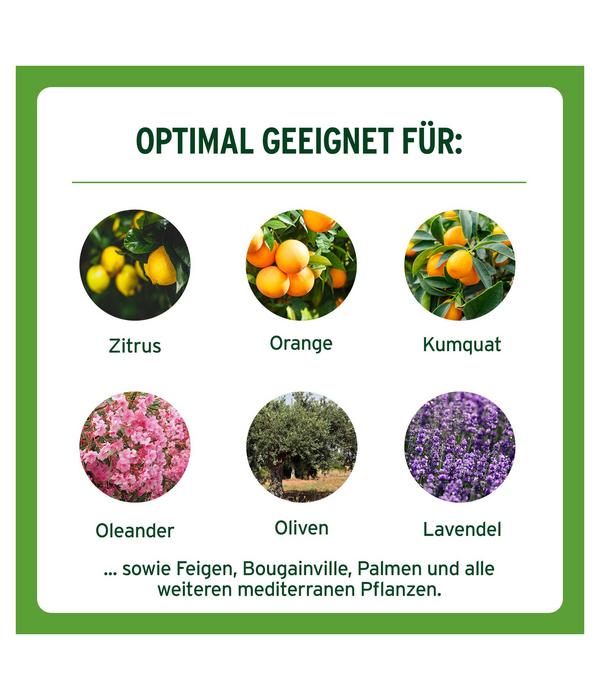 Substral® Langzeit Depotdünger für Zitrus-