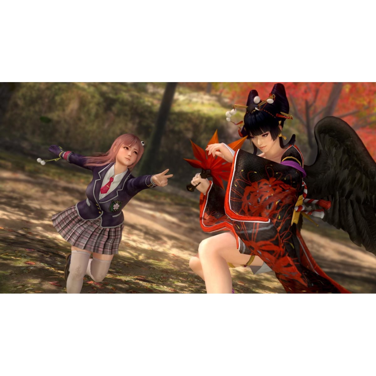 Dead or Alive 5 Last Round - PC Windows
