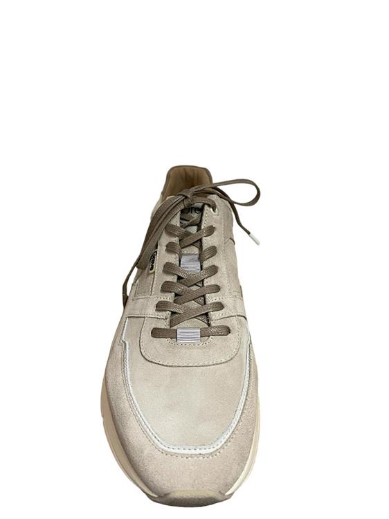 Greve 7280 Walker licht beige [03 2928 fantasma]