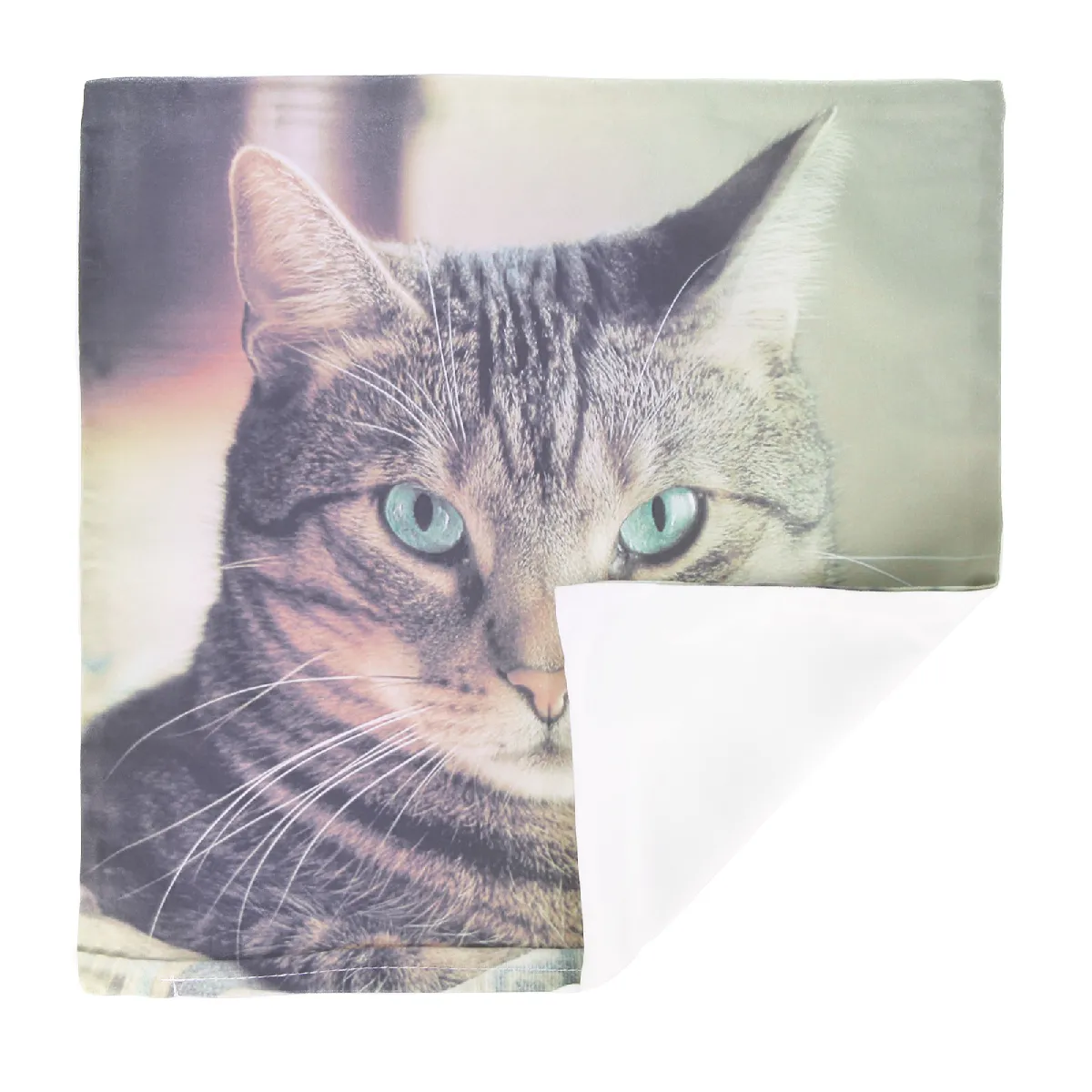 Lot de 2 Housses de Coussin AVIZAR - Motif Chat Shorthair