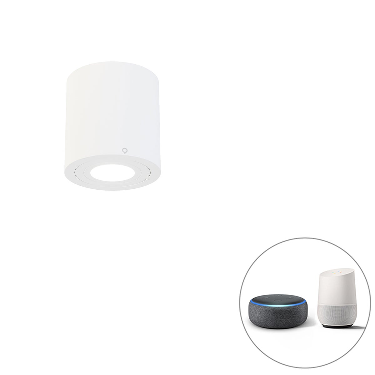 Slimme badkamerspot, wit, rond, IP44, incl. WLAN, GU10 - Capa