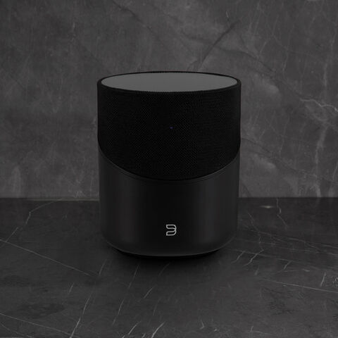 Koop Bluesound PULSE M (P230) Draadloze luidspreker | 5 Jaar Garantie Zwart