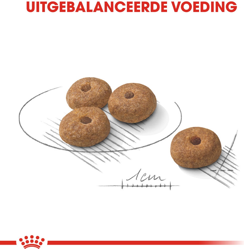 Royal Canin hondenvoer Sterilised Mini 3 kg