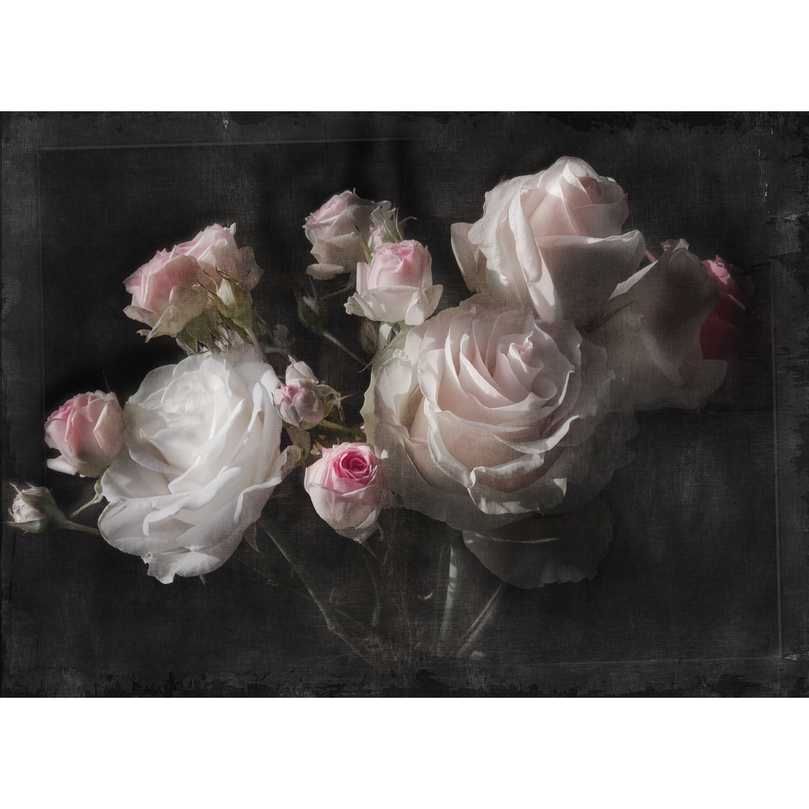 Papier-Fototapete ETERNITY - bunt - 254x184 cm