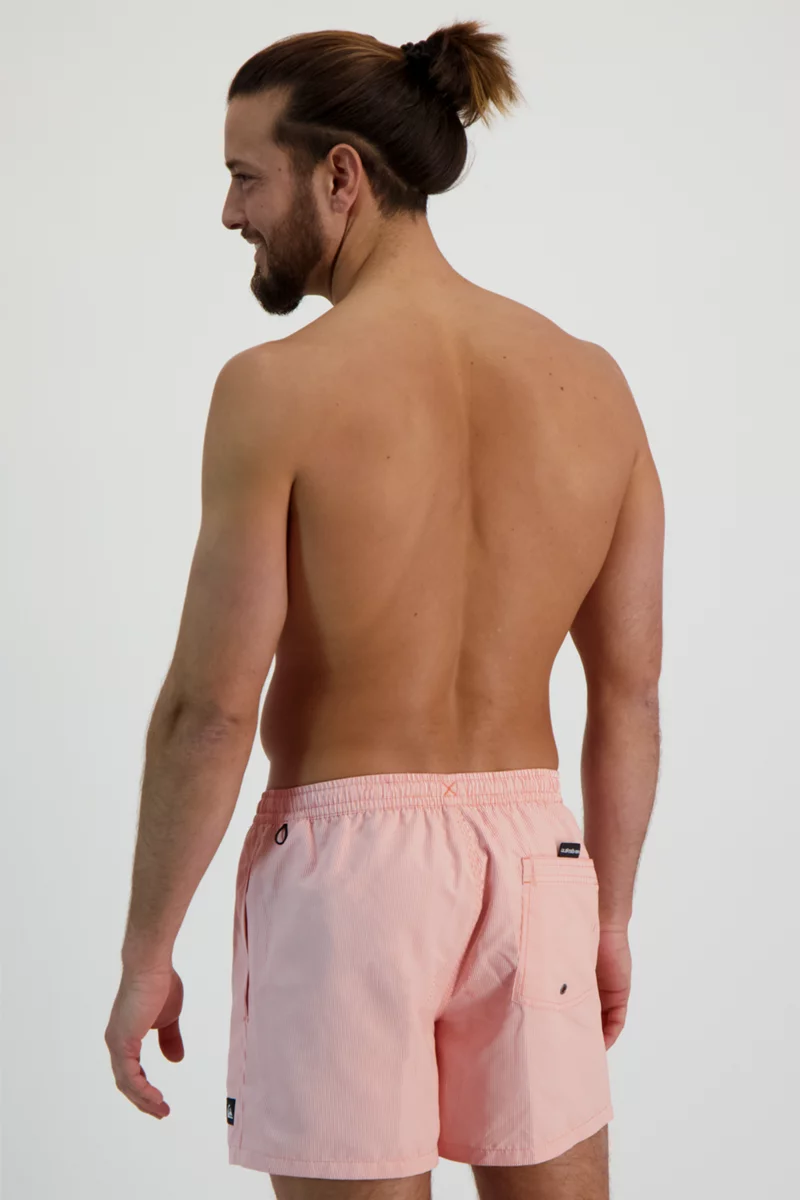 Quiksilver Everyday Deluxe 15 Inch Herren Badeshort