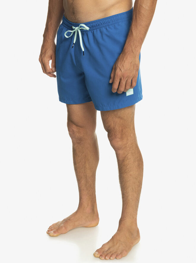 Quiksilver Everyday 15
