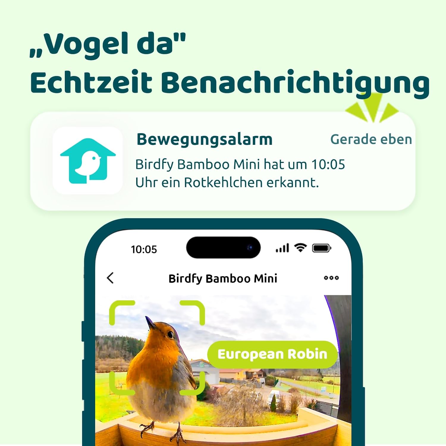 NETVUE by Birdfy Bambus Mini Vogelfutterhaus mit Kamera für Live Vogelbeobachtung, Solarbetrieb Vogelfutterspender mit App, Automatisch Aufnahm und Echtzeit Benachrichtigung bei Vogelbesuch