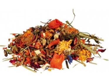 Trixie Natural food mixture for bearded dragons, 100 g