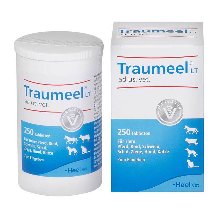 Traumeel LT ad us.vet.Tabletten, 250 St