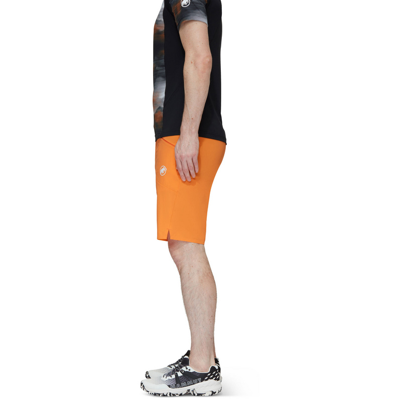 Mammut Herren Aenergy Light SO Shorts