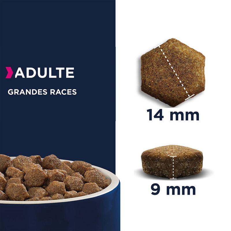 Eukanuba Grain Free Adult Large Breed agneau