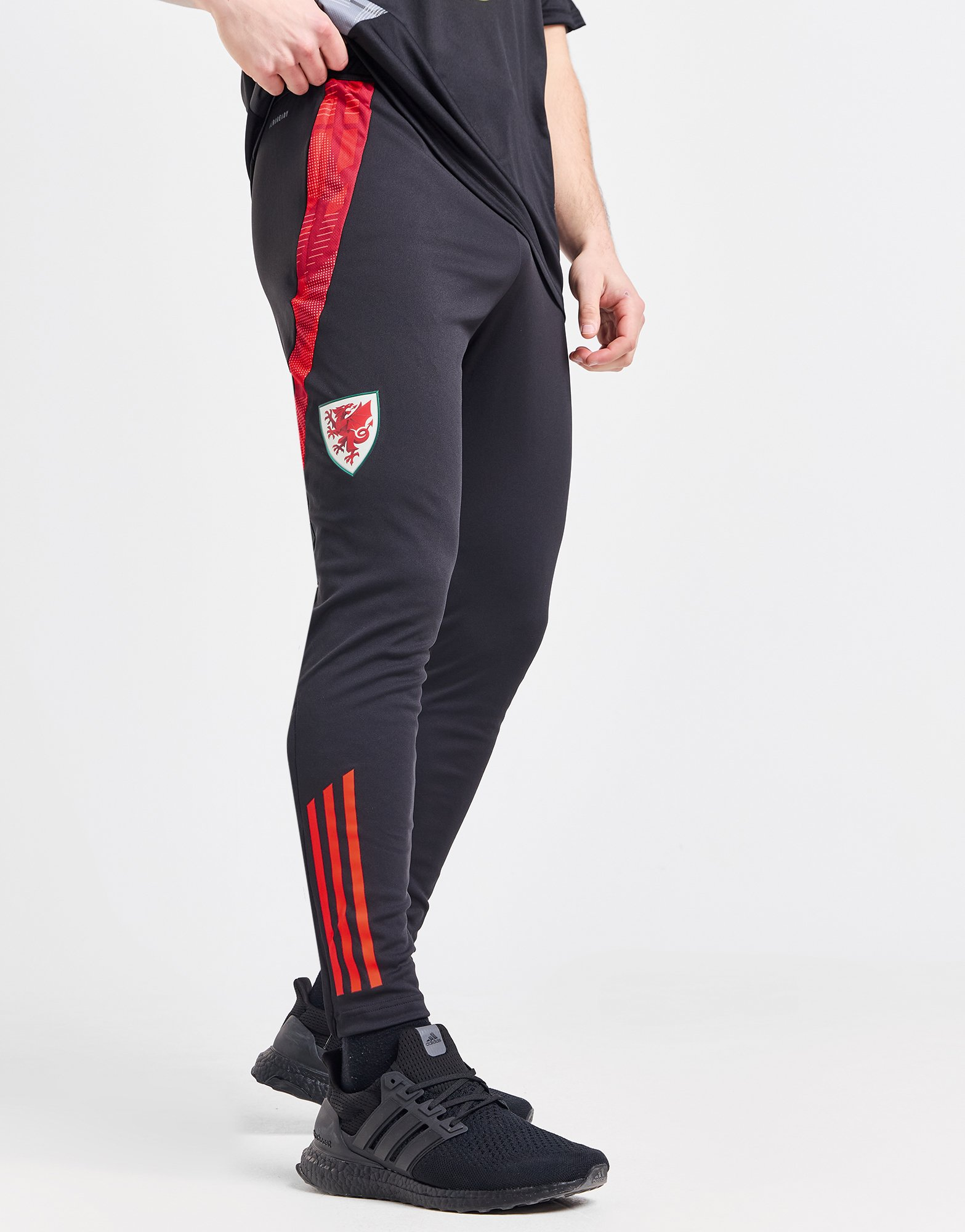adidas Pantalon de jogging Pays de Galles Tiro 24 Homme