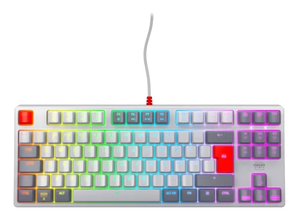 CHERRY XTRFY K4V2 - Retro Edition - tastatur - RGB - 80% - TKL - bagbelyst - USB - QWERTY - Pan Nordic - tastkontakt: CHERRY MX2A Red - grå