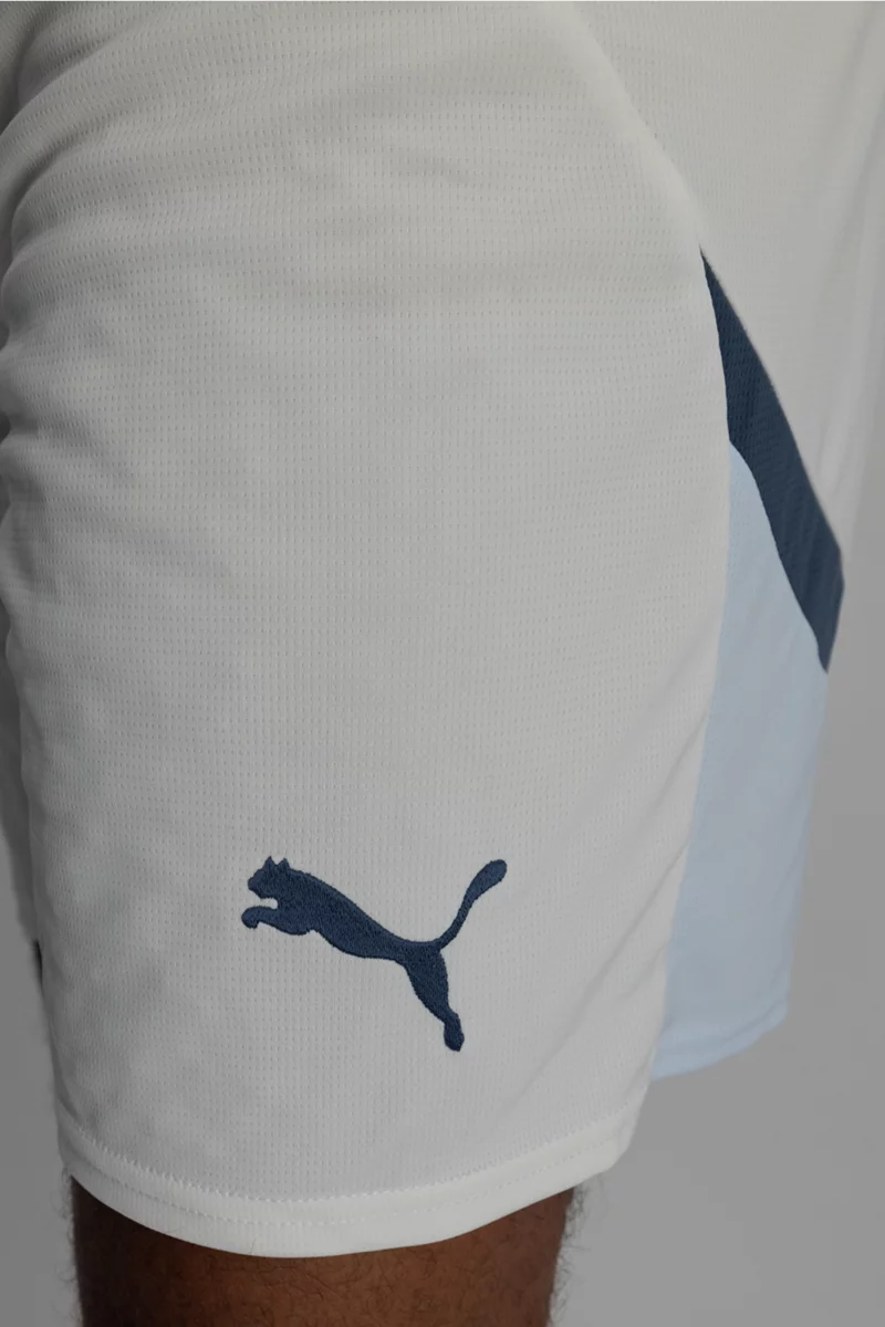 Puma Schweiz Away Replica Herren Short EM 2024